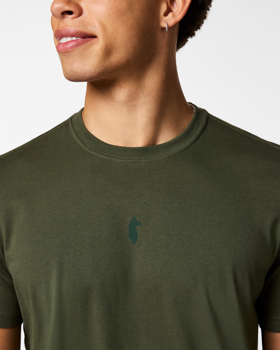Llama Icon T-Shirt - Men's, Fatigue, Model Luke