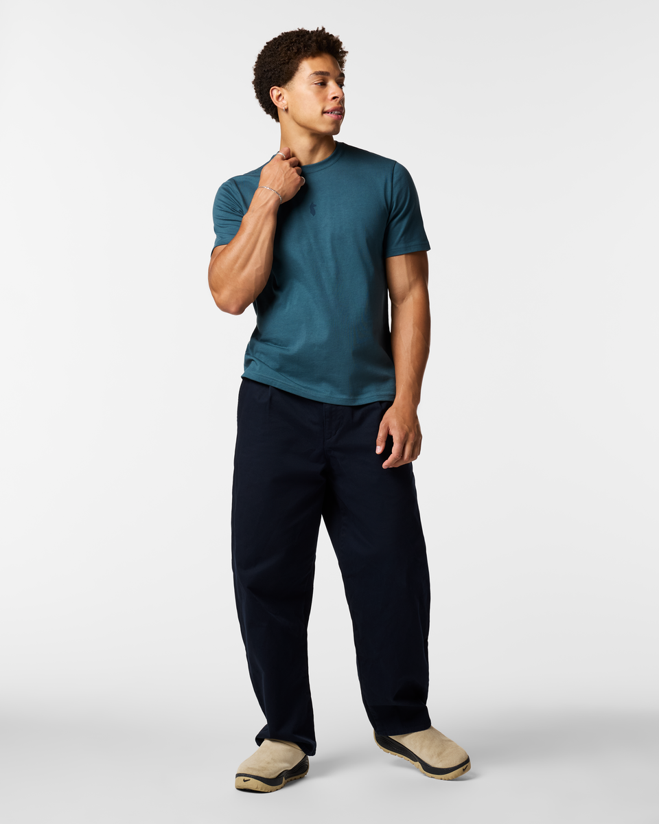 Llama Icon T-Shirt - Men's, Ocean, Model Luke