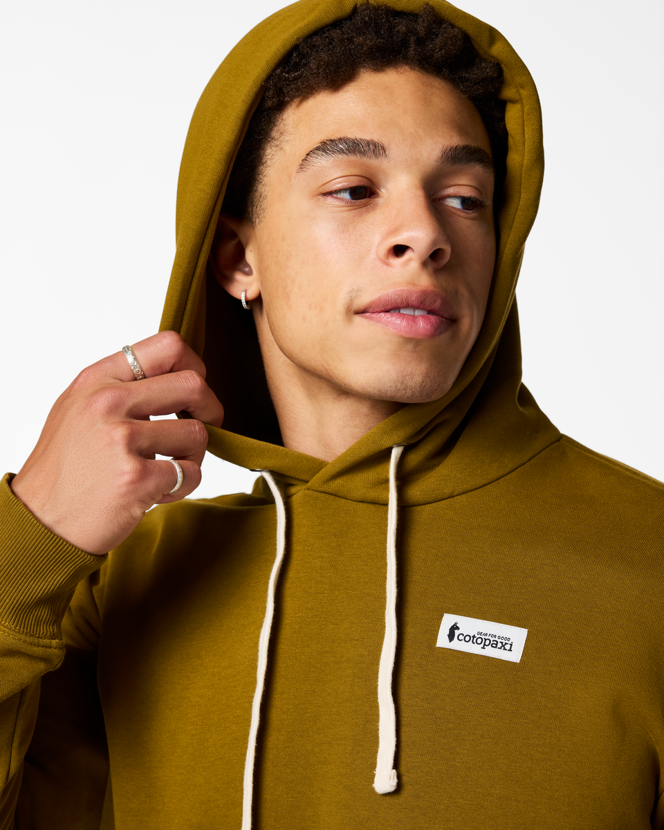 Llama Patch Pullover Hoodie - Men's, Log Cabin, Model Luke