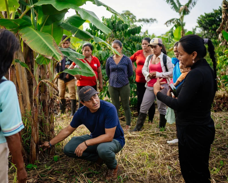B Corp community